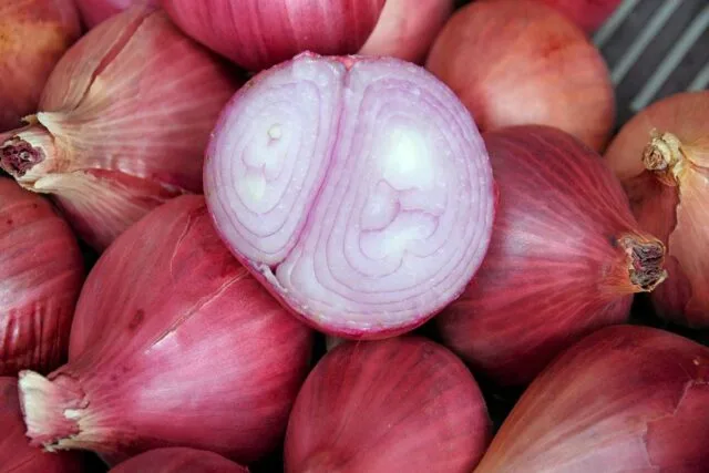 Řez červené cibule s viditelnými vrstvami na pozadí celých hlaviček.