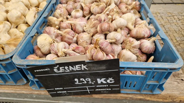 Svěží česnek v modrých plastových bedenách na trhu.