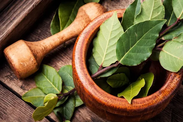Bay leaves in mortar and pestle
