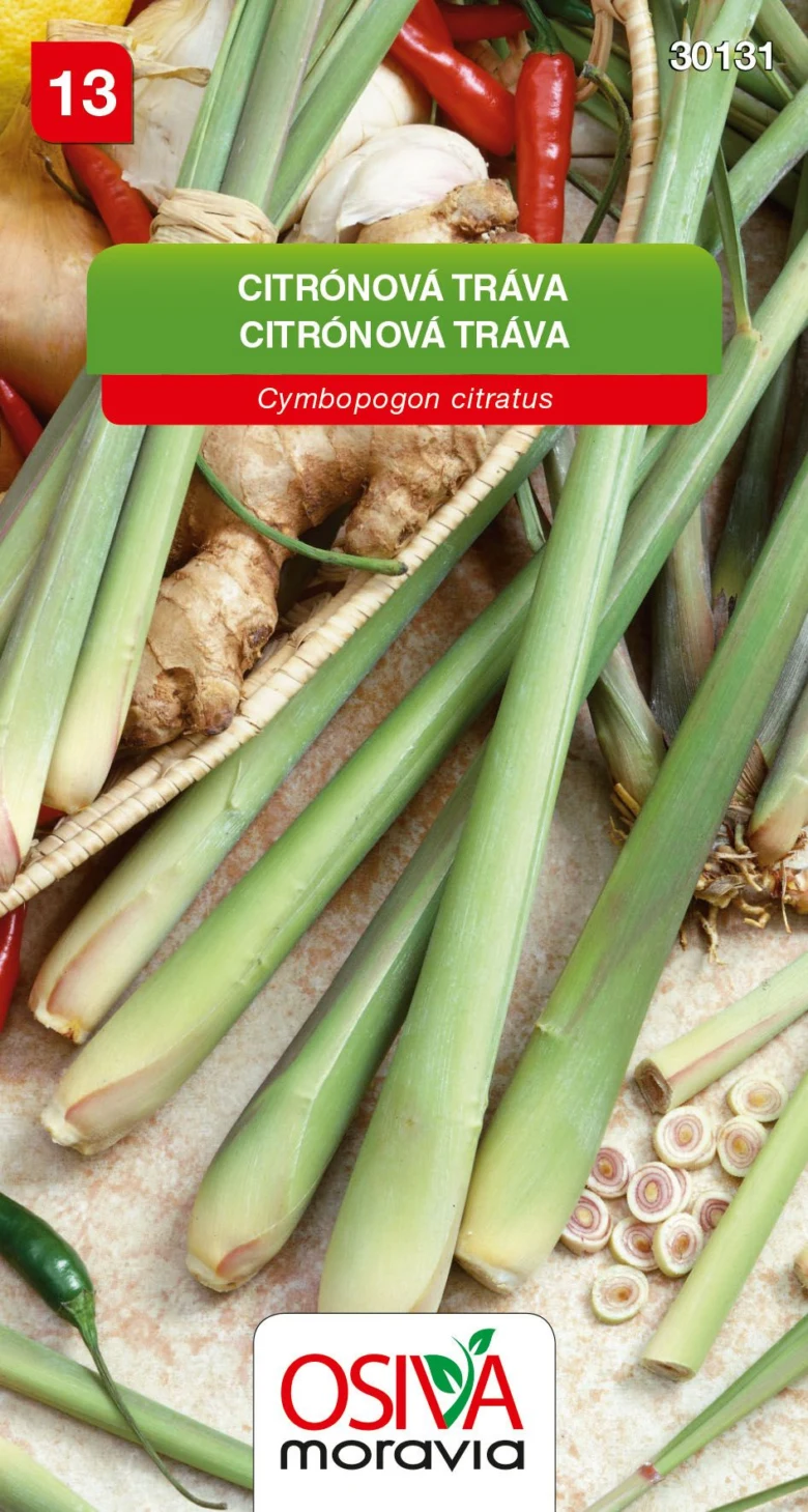 Čerstvá citronová tráva s ingverem, česnekem a chilli papričkami
