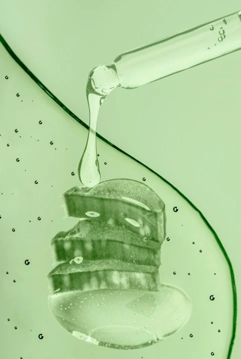Kapka čisté gely z Aloe Vera padá na list rostliny.