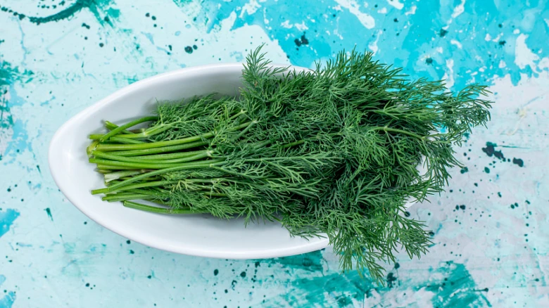 Fresh dill bunch in bowl