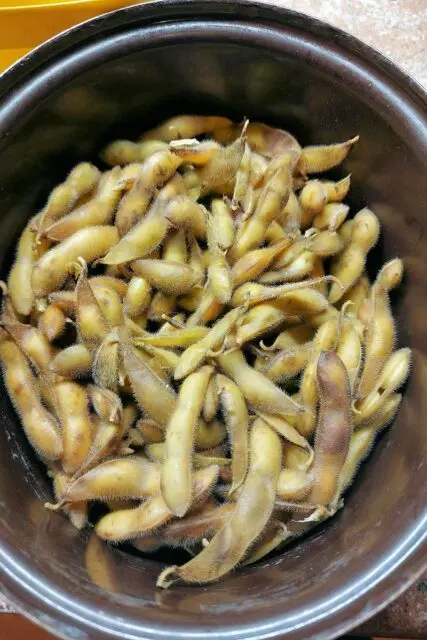 Svařené fazolky edamame v tmavém hrnci.