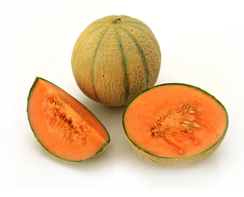Celý meloun cantaloup s řezem na bílém pozadí.