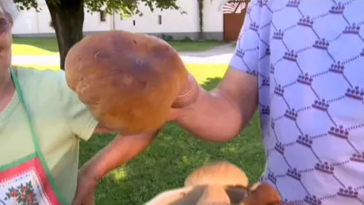 Large brown mushroom being held outdoors