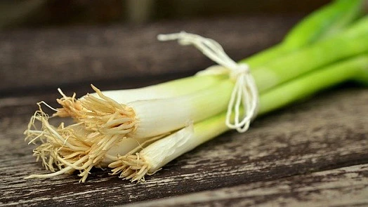 Svěží jarní cibulky s kořeny svázané provázek na dřevěném povrchu.