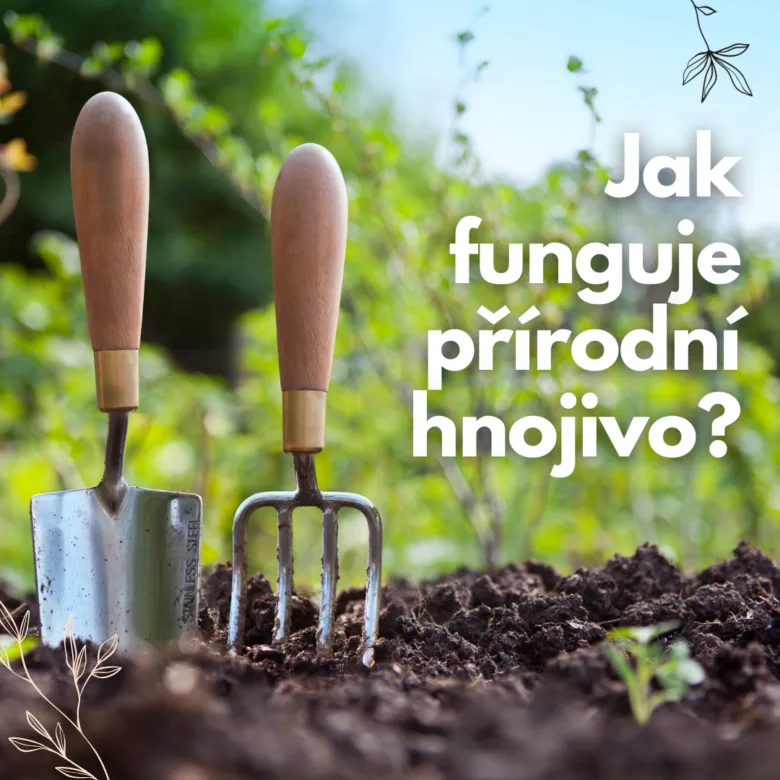 Dva zahradní nástroje v zemi pro přírodní hnojiva