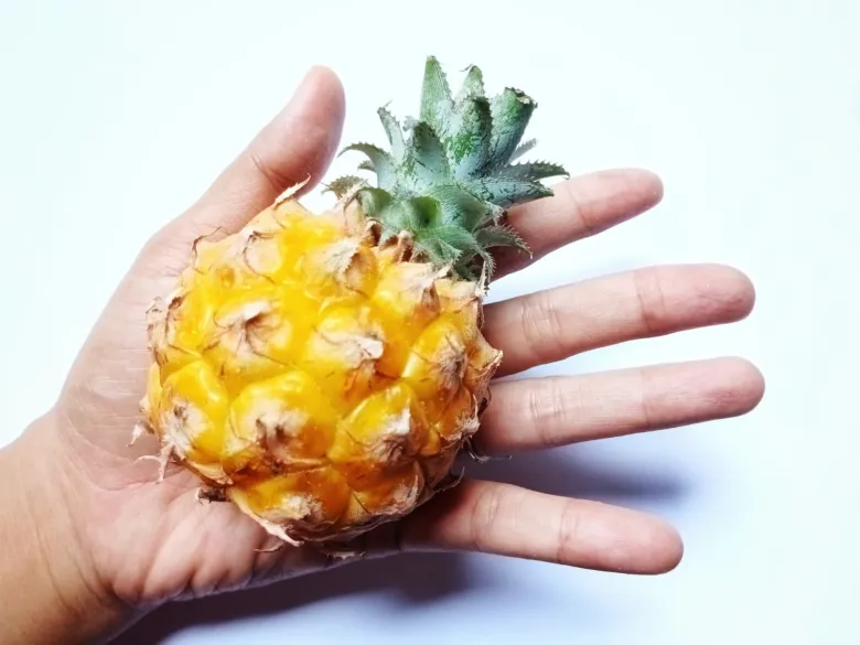 Malý žlutý ananas držený v lidské ruce na bílém pozadí.