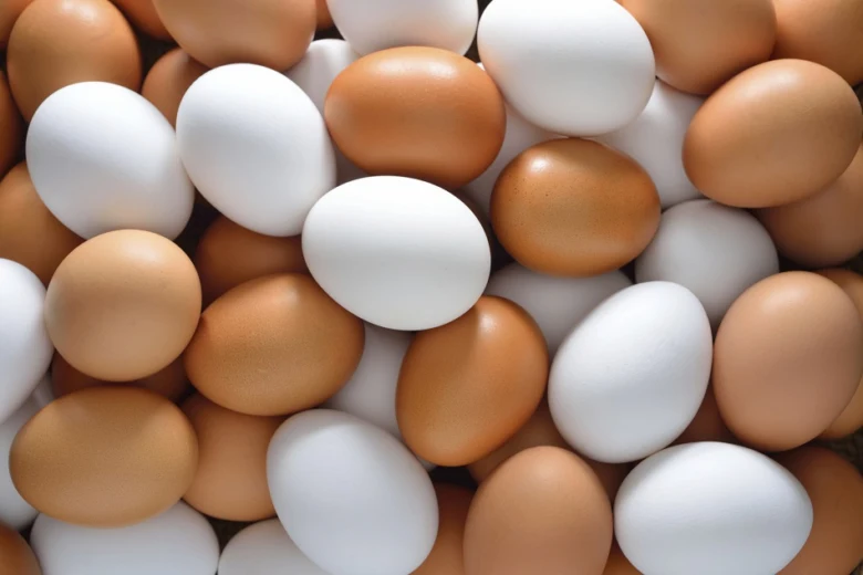 Eggs in storage pile