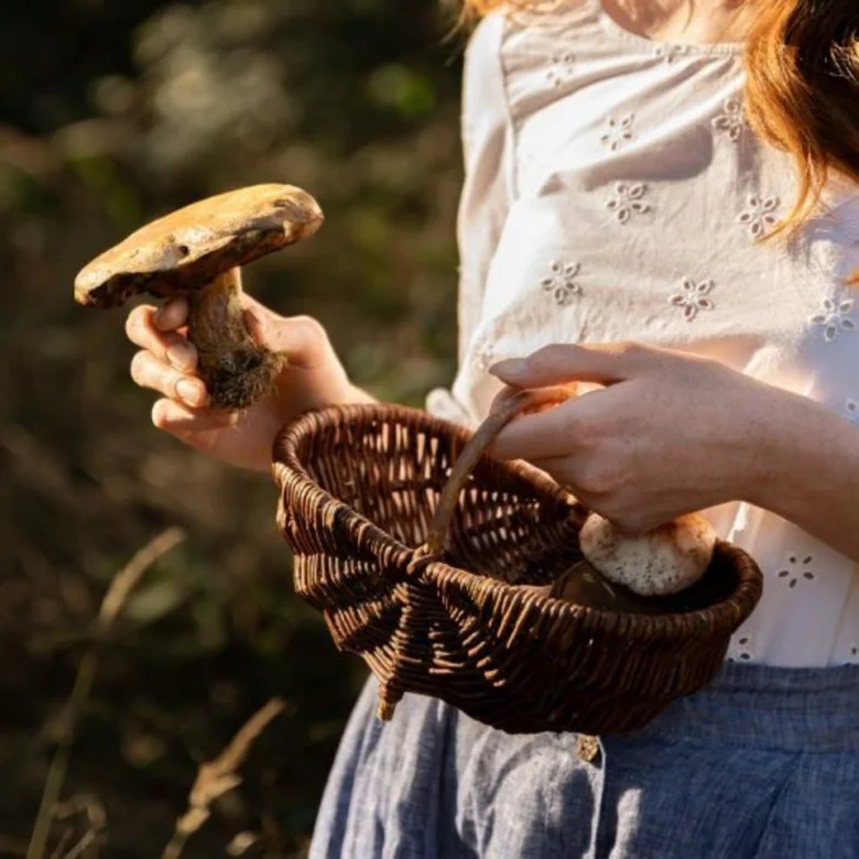 Žena drží hubu nad košíkem plným sbíraných houb v přírodě.