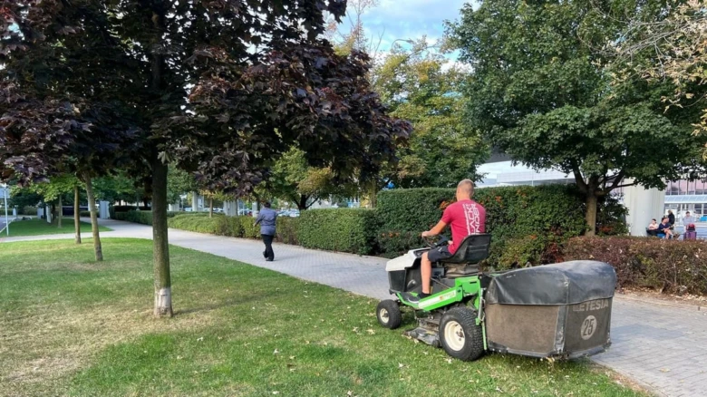 Muž řízí kosačku na trávu v zahradě s okolními keři.
