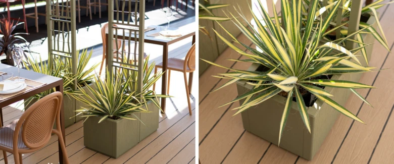 Potted plants on balcony