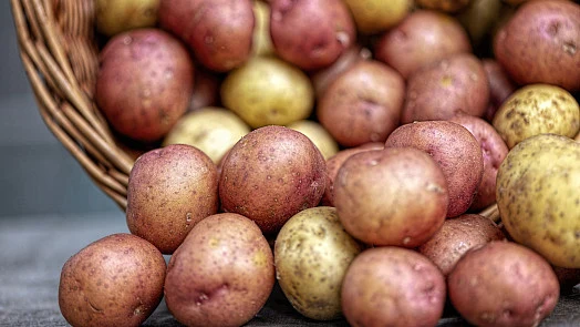 Red and yellow potatoes