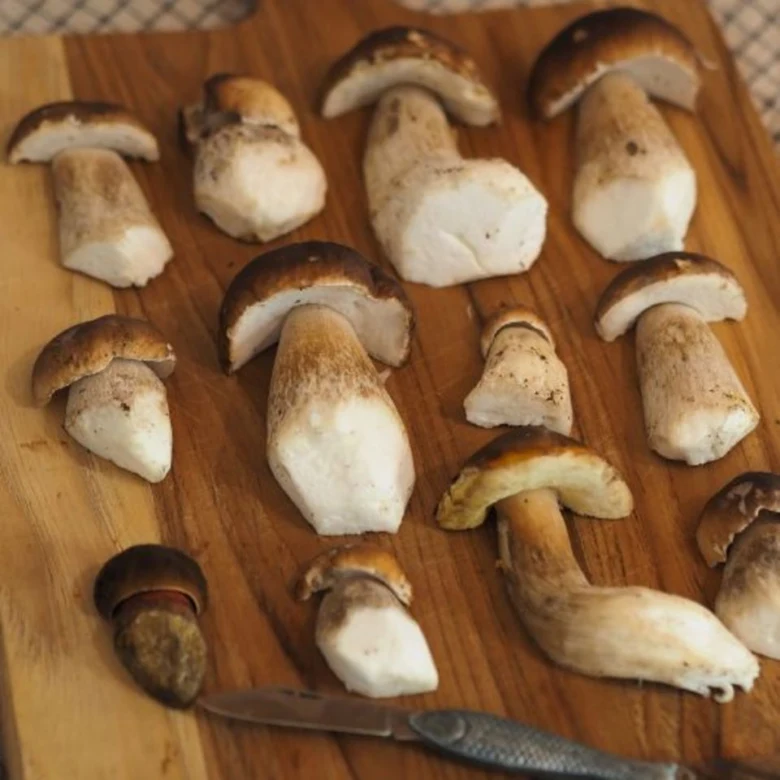 Cut boletus mushrooms on wooden board with knife