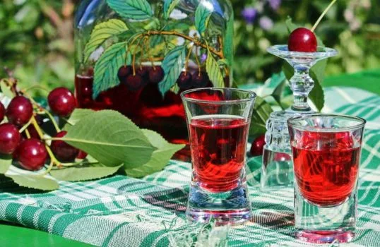 Domácí višňovka v skleničkách s čerstvými višněmi a listy.