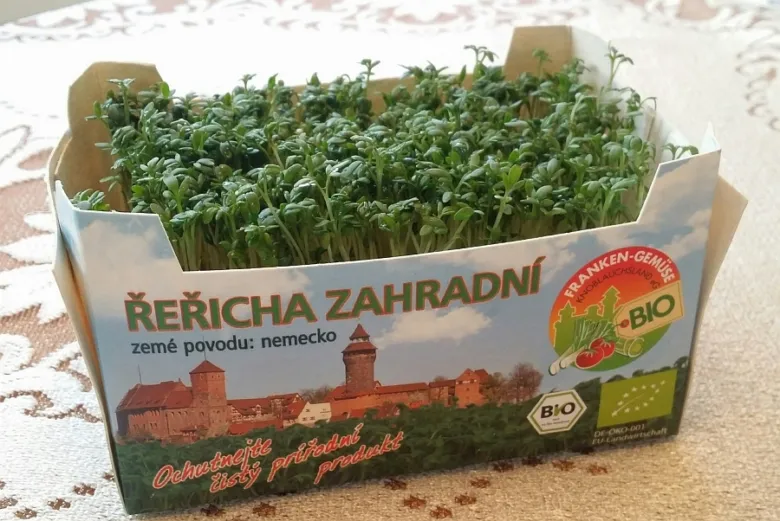 Kartónová krabice s čerstvou řeříhou na pěstování v zahradě.