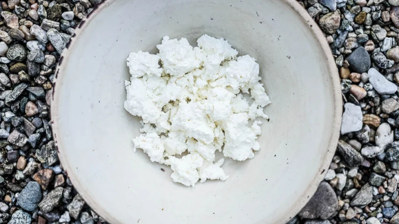 Homemade cheese curds in bowl