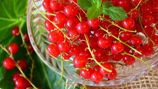Red currants in glass bowl