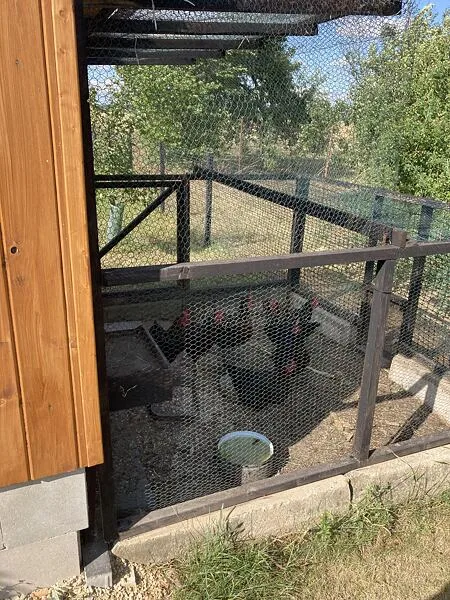 Venkovní výběh s kuřaty v domácnosti