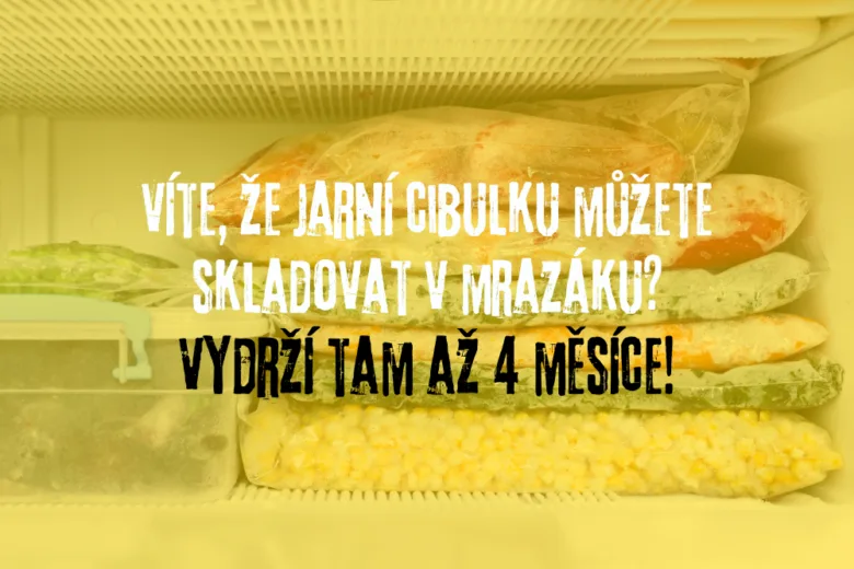 Mrazená jarní cibulka v mrazáku s textem o skladování.