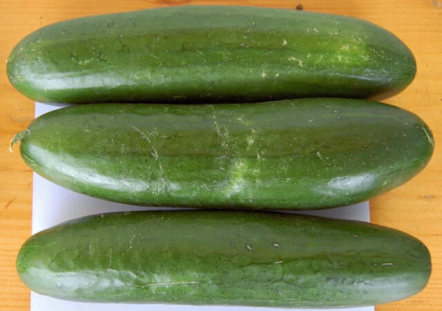 Tři čerstvé okurky nakládačky na bílém podkladu.