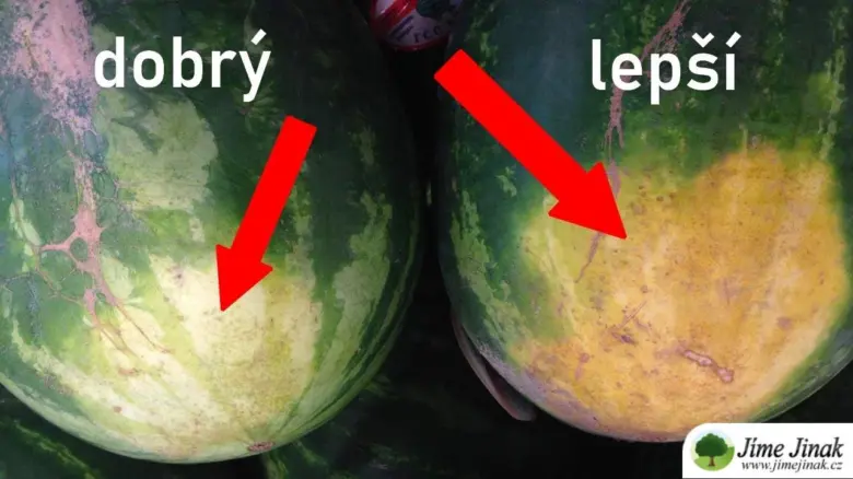 Dva melouny s označením dobrý a lepší pro výběr zralého ovoce.