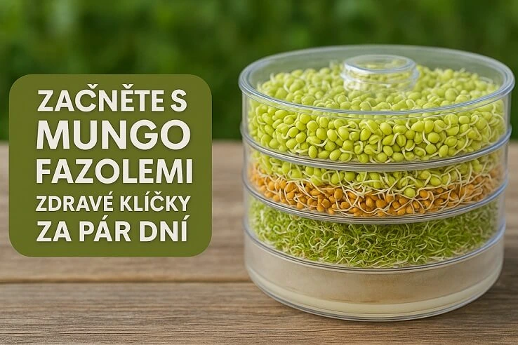 Mnohoúrovňový skleník s naklíčenými mungo fazolemi.