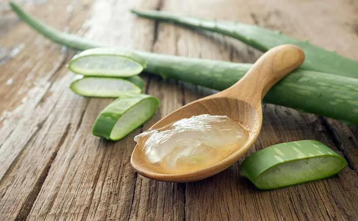 Dřeň z aloe v lžíci s čerstvými listy rostliny na dřevě.