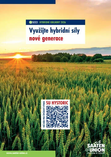 Zlaté slunce nad polní plochou pěstované pšenice.
