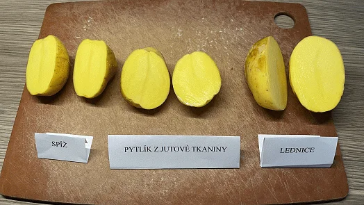 Srovnání brambor uložených ve třech různých podmínkách pro zimní skladování.