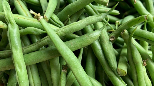Fresh green beans