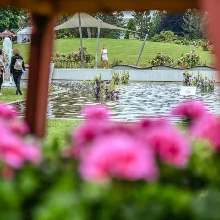 Rozárium v Olomouci s květinami ve vodním prameni