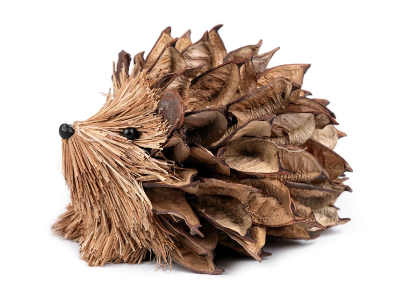 Dried seed pod hedgehog craft