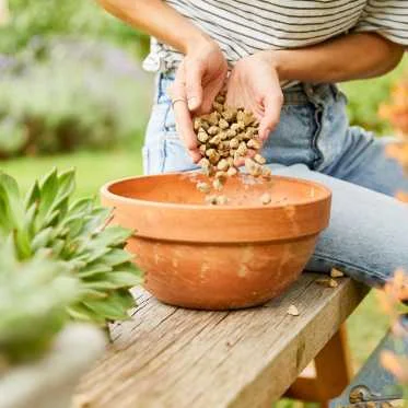 Člověk nalévá granulované kaolin do hrnce v zahradě.