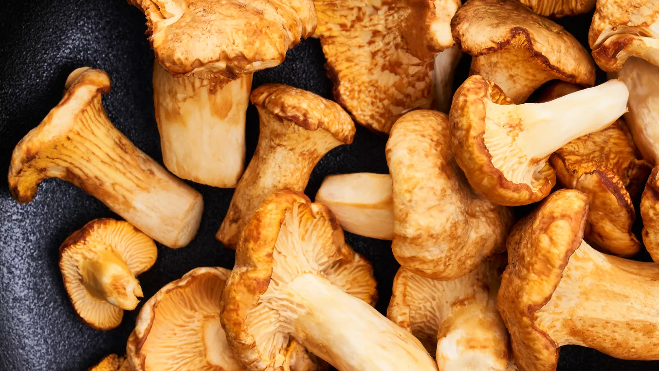 Chanterelle mushrooms